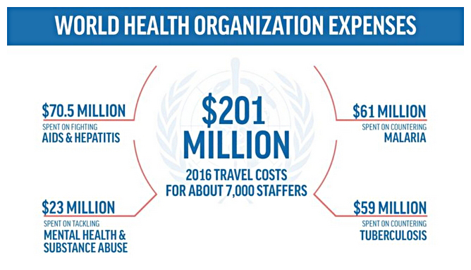 who expenditure 2016